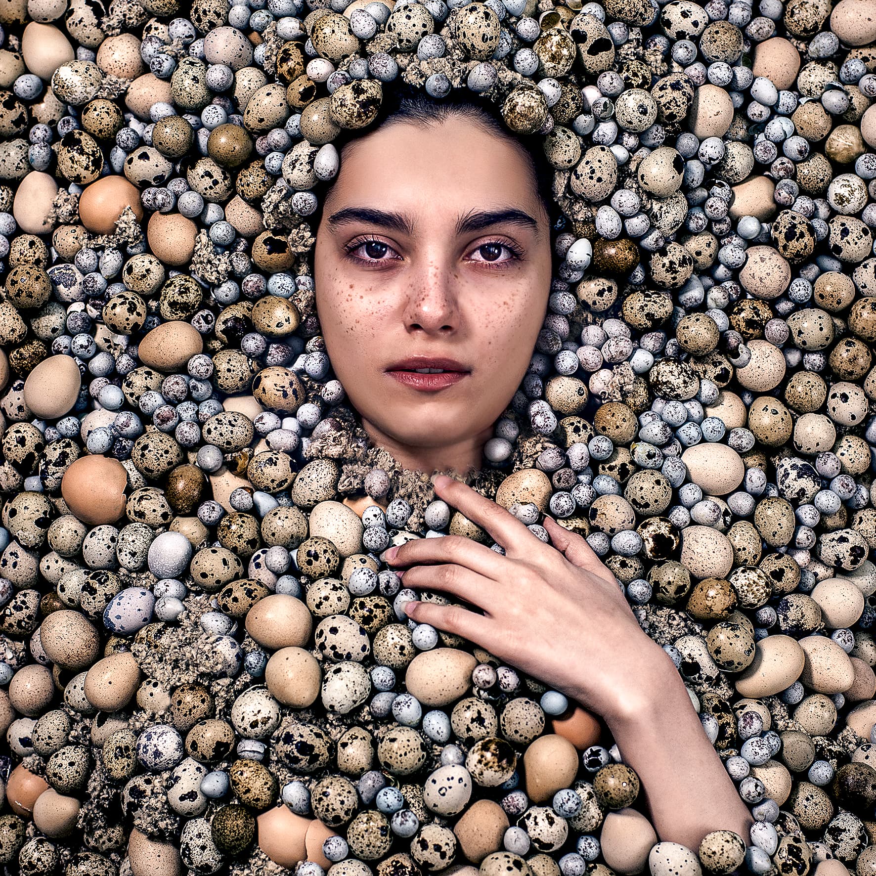 Untitled, Maryam Firuzi