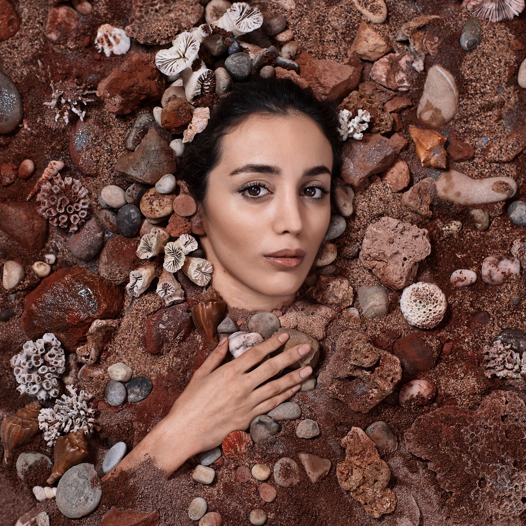 Untitled, Maryam Firuzi