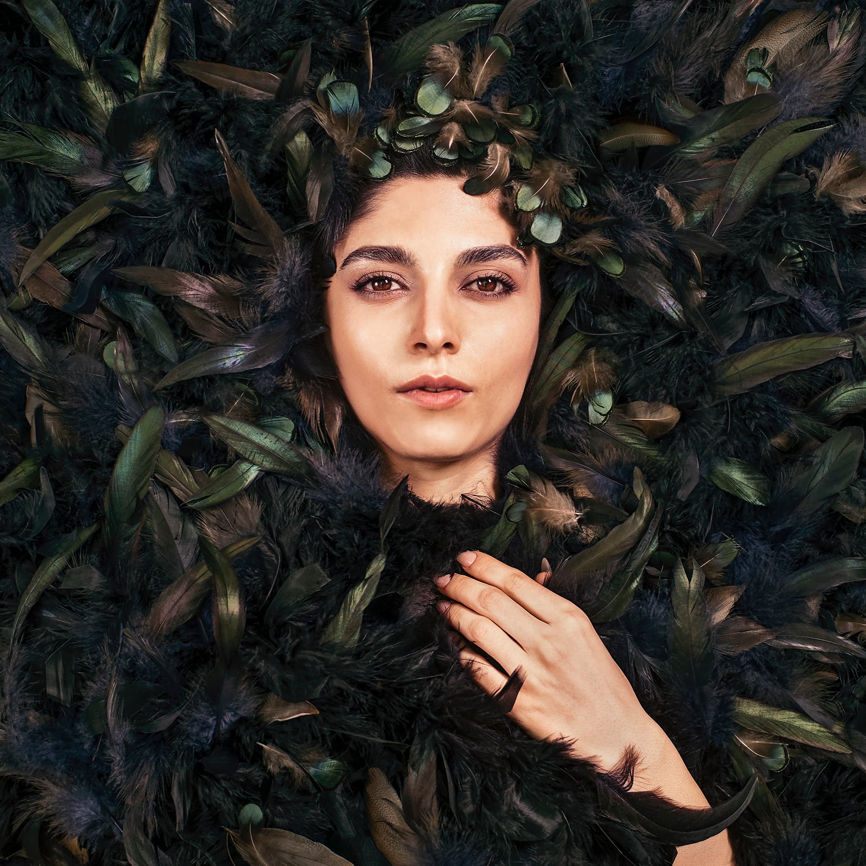 Untitled, Maryam Firuzi