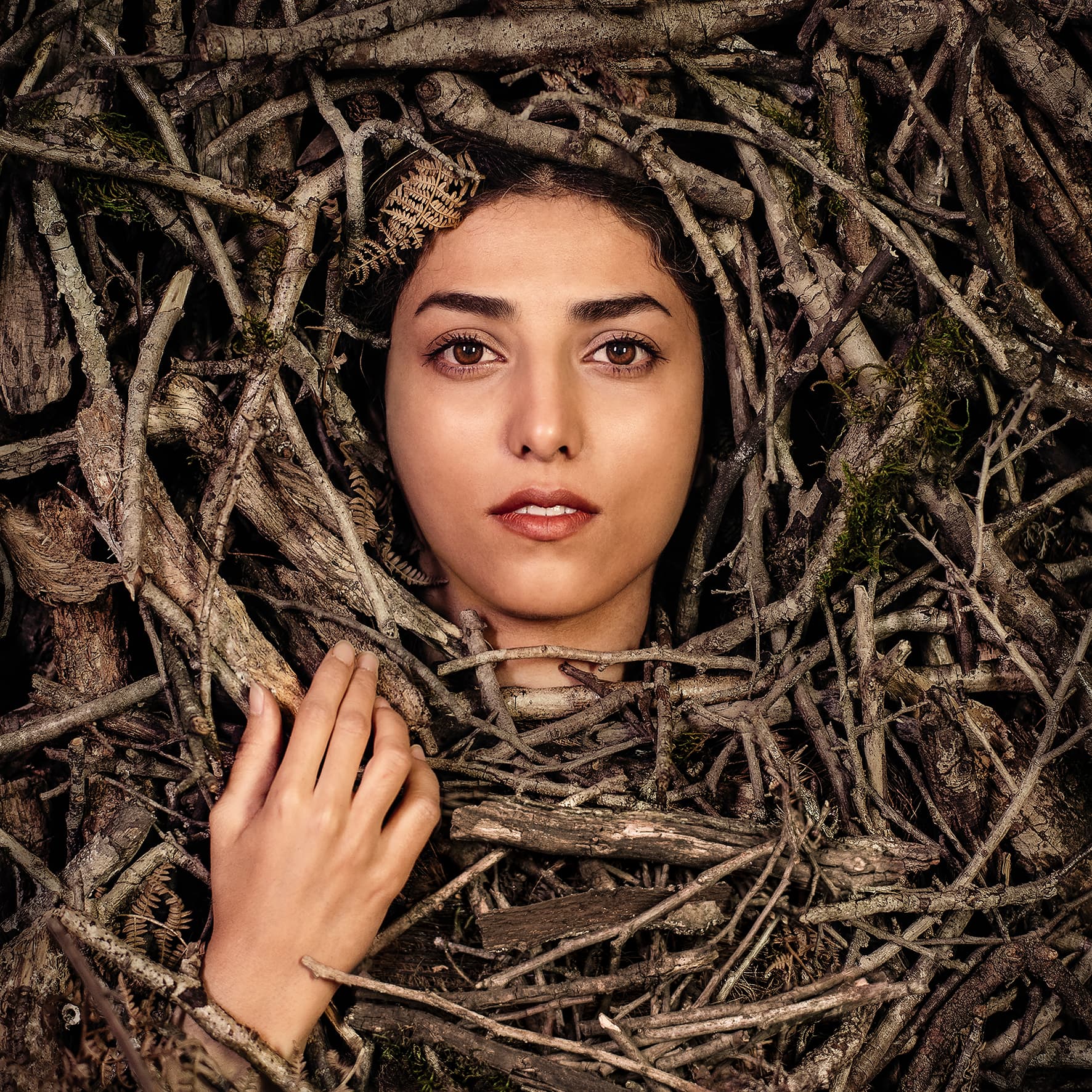 Untitled, Maryam Firuzi