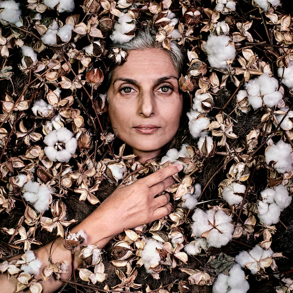 Untitled, Maryam Firuzi