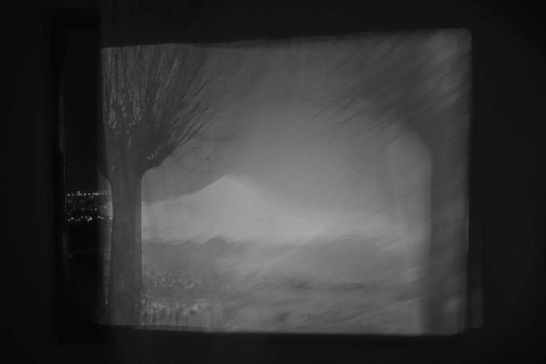 Untitled, MARYAM TAKHTKESHIAN