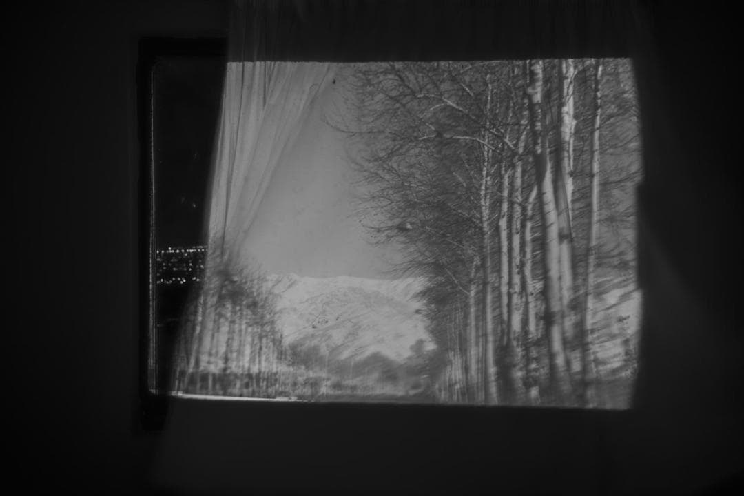 Untitled, MARYAM TAKHTKESHIAN