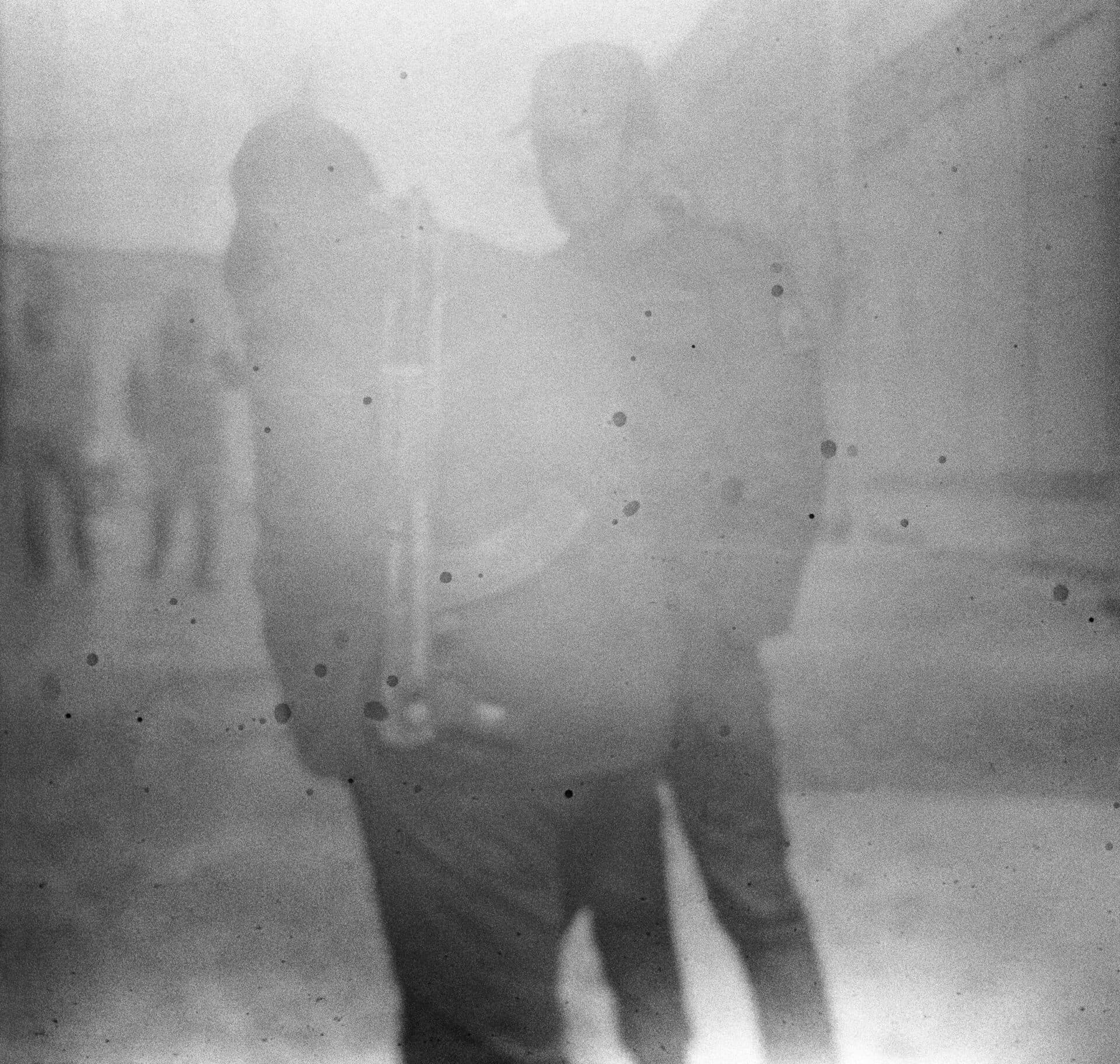 Untitled, MARYAM TAKHTKESHIAN