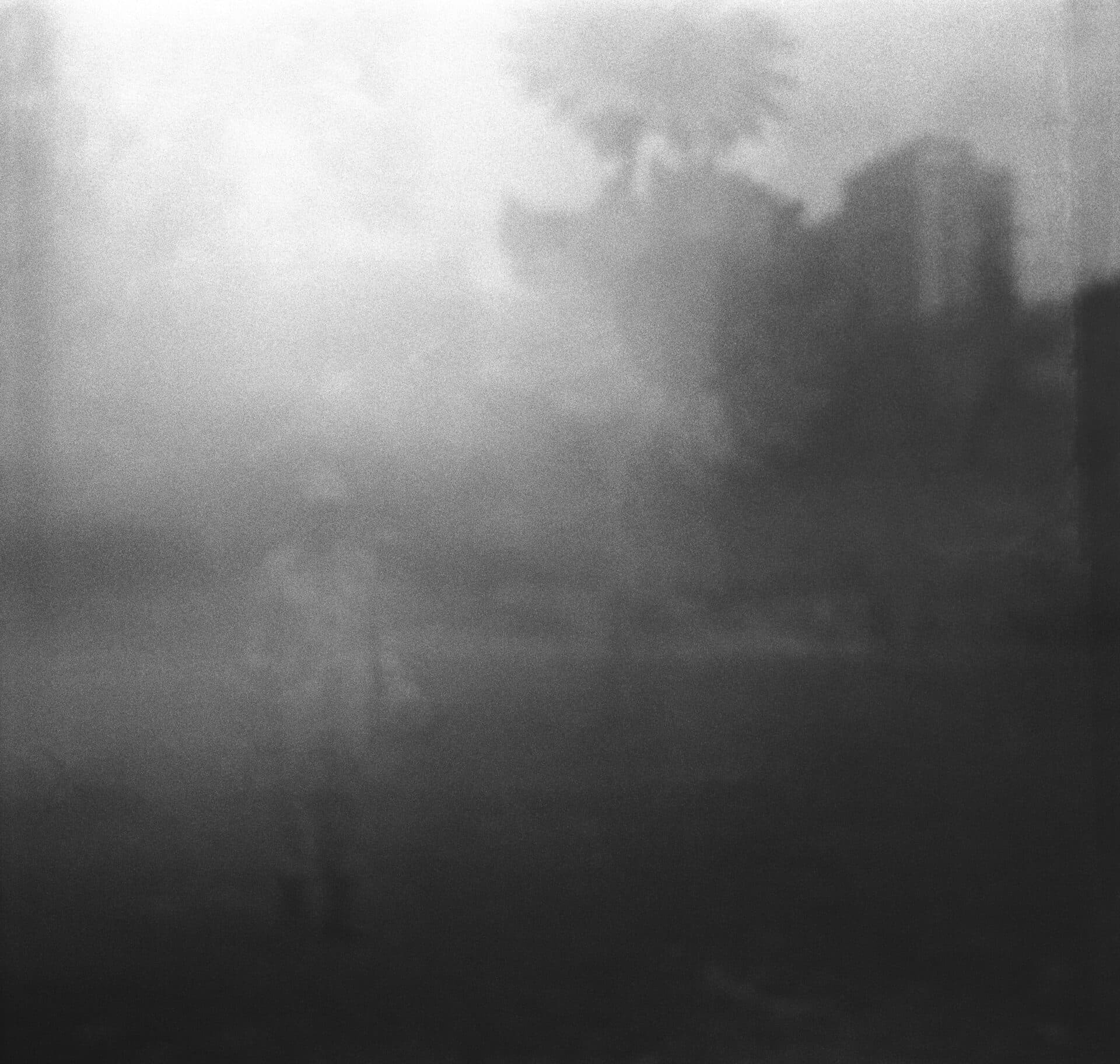 Untitled, MARYAM TAKHTKESHIAN