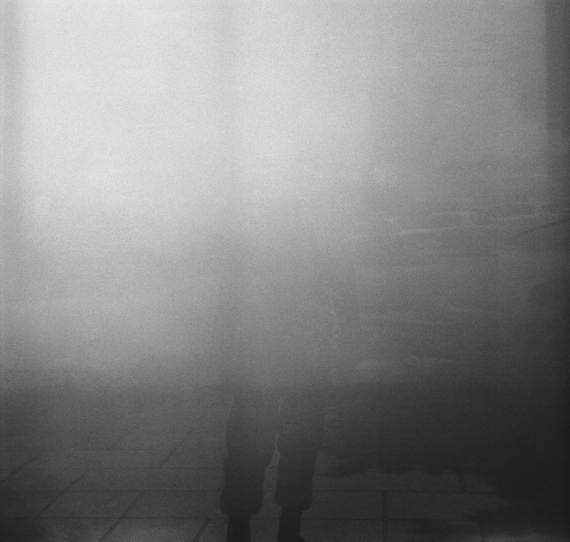 Untitled, MARYAM TAKHTKESHIAN