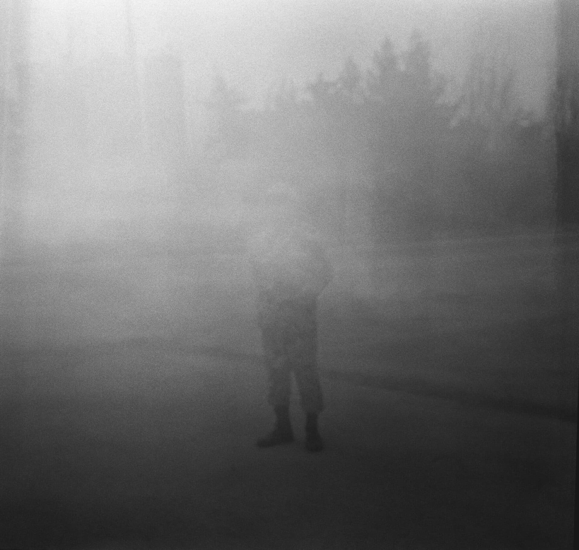 Untitled, MARYAM TAKHTKESHIAN