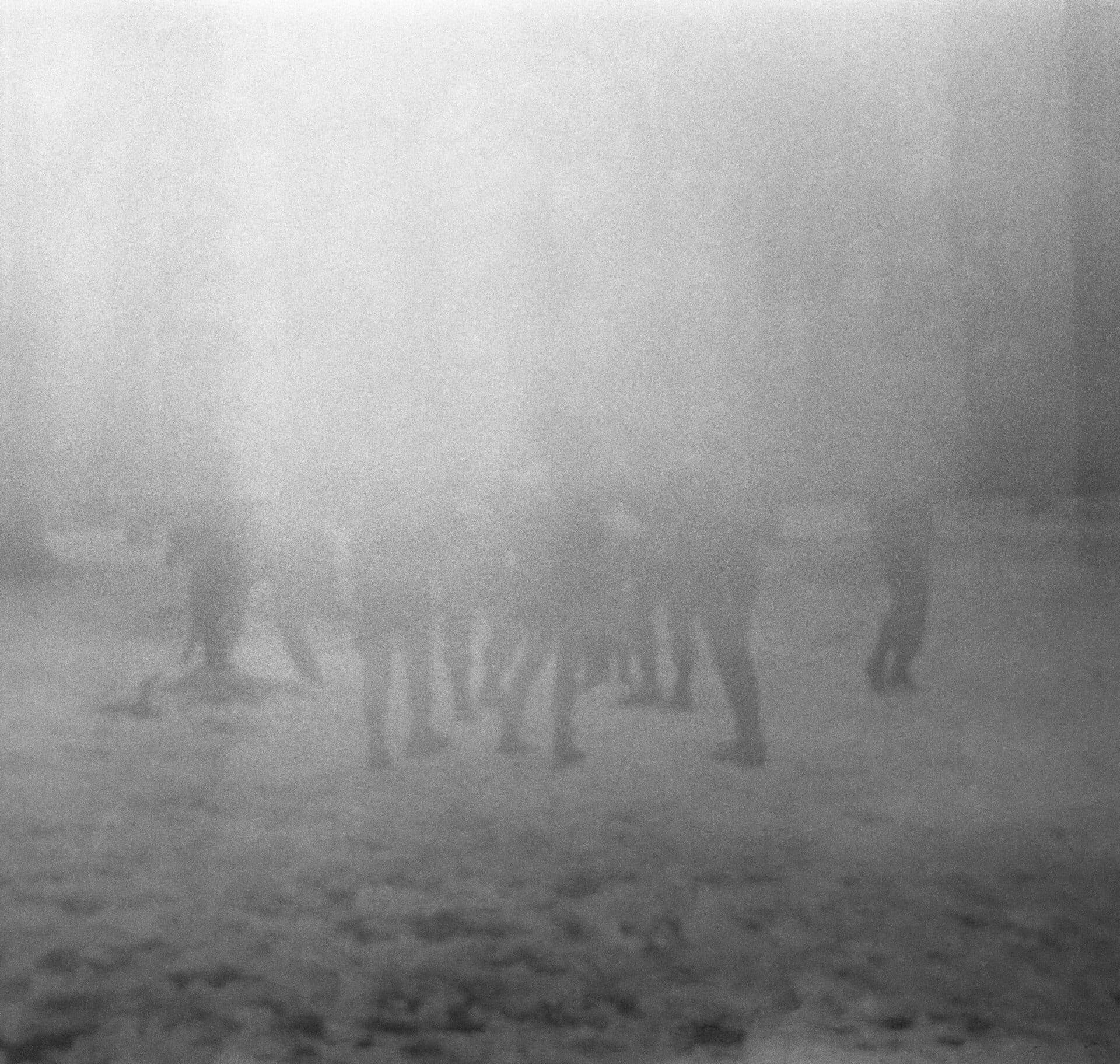 Untitled, MARYAM TAKHTKESHIAN
