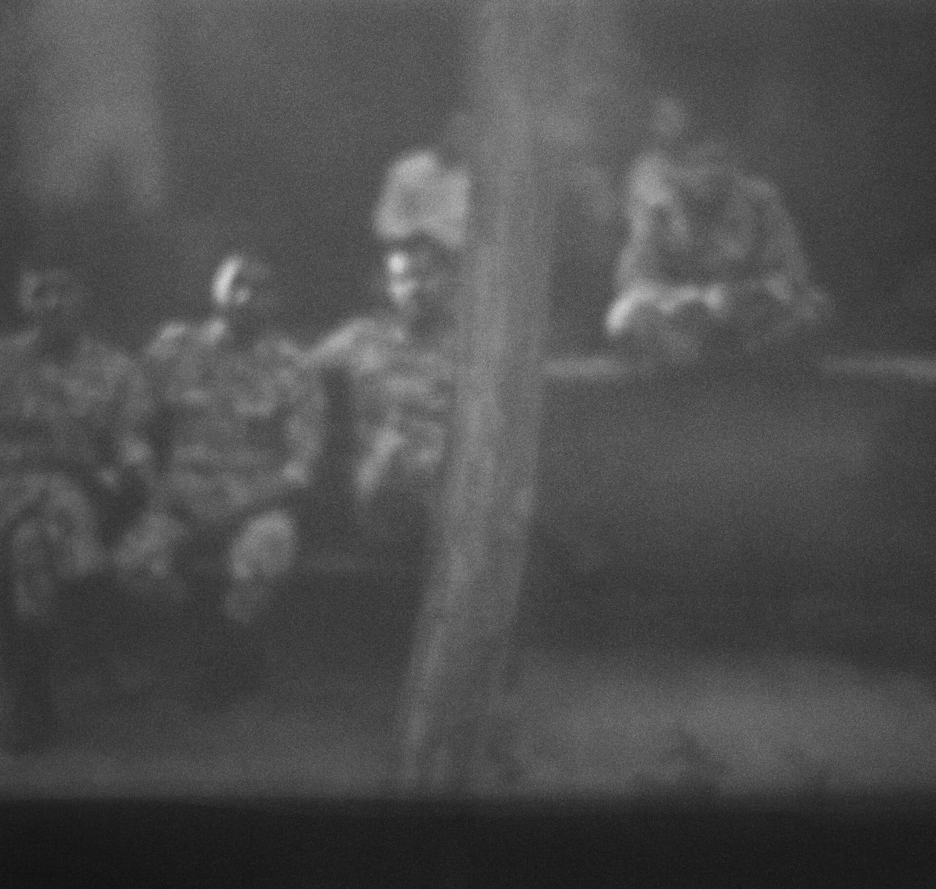 Untitled, MARYAM TAKHTKESHIAN