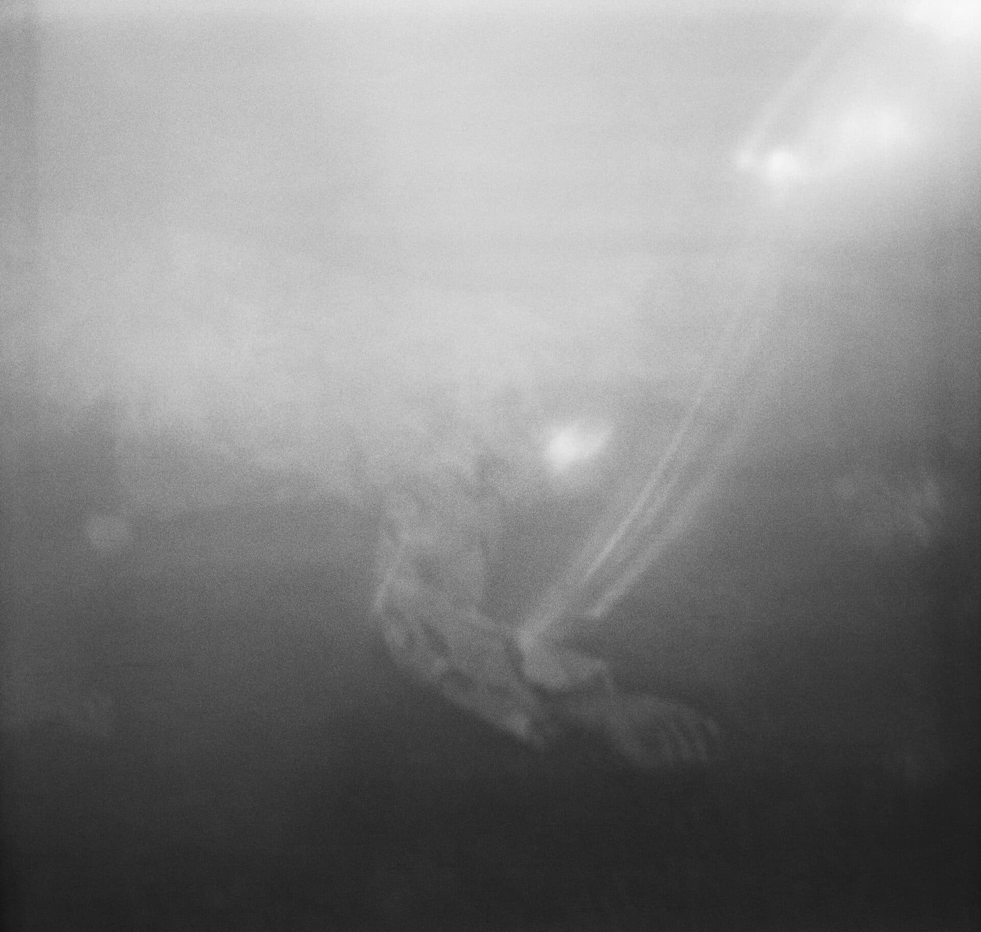 Untitled, MARYAM TAKHTKESHIAN