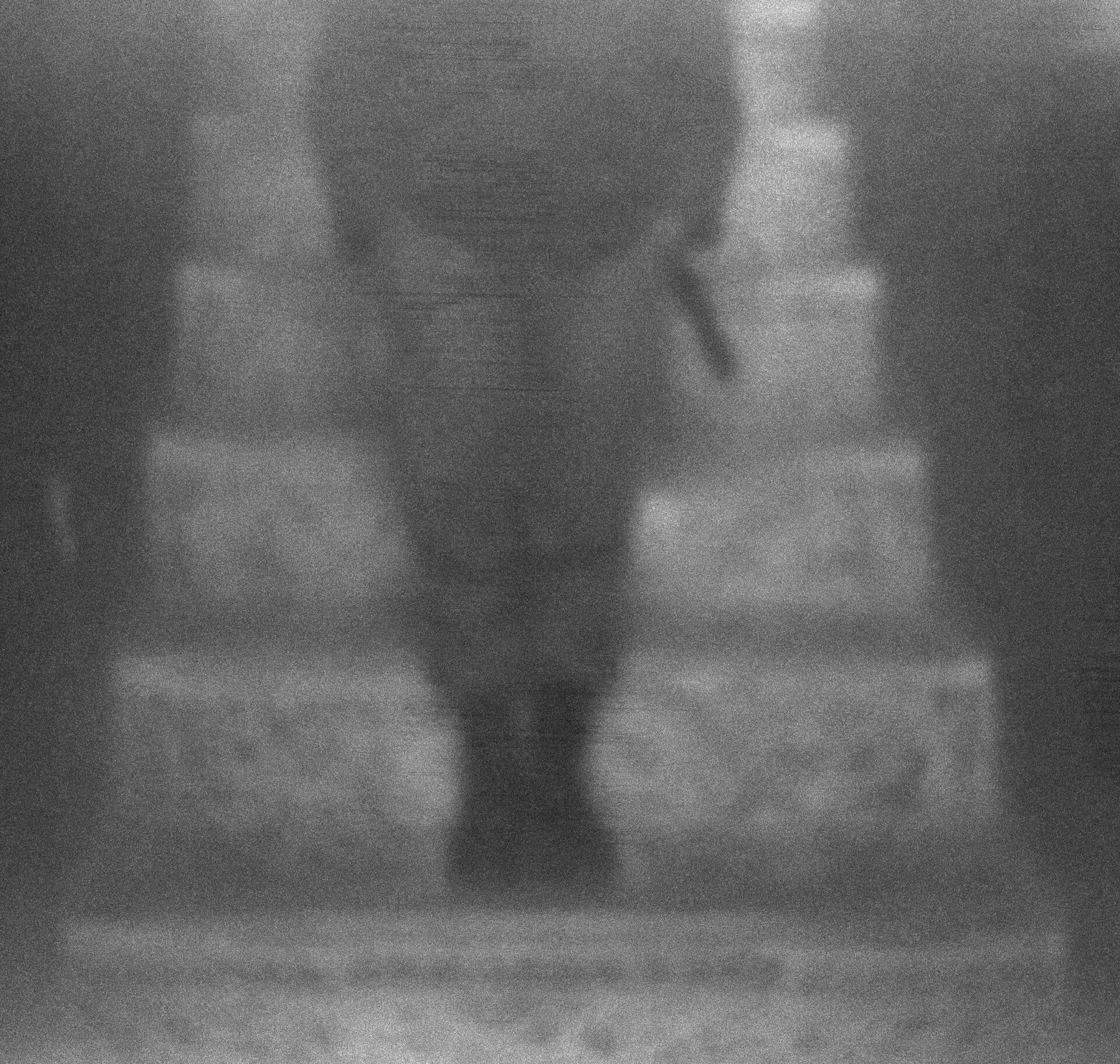 Untitled, MARYAM TAKHTKESHIAN