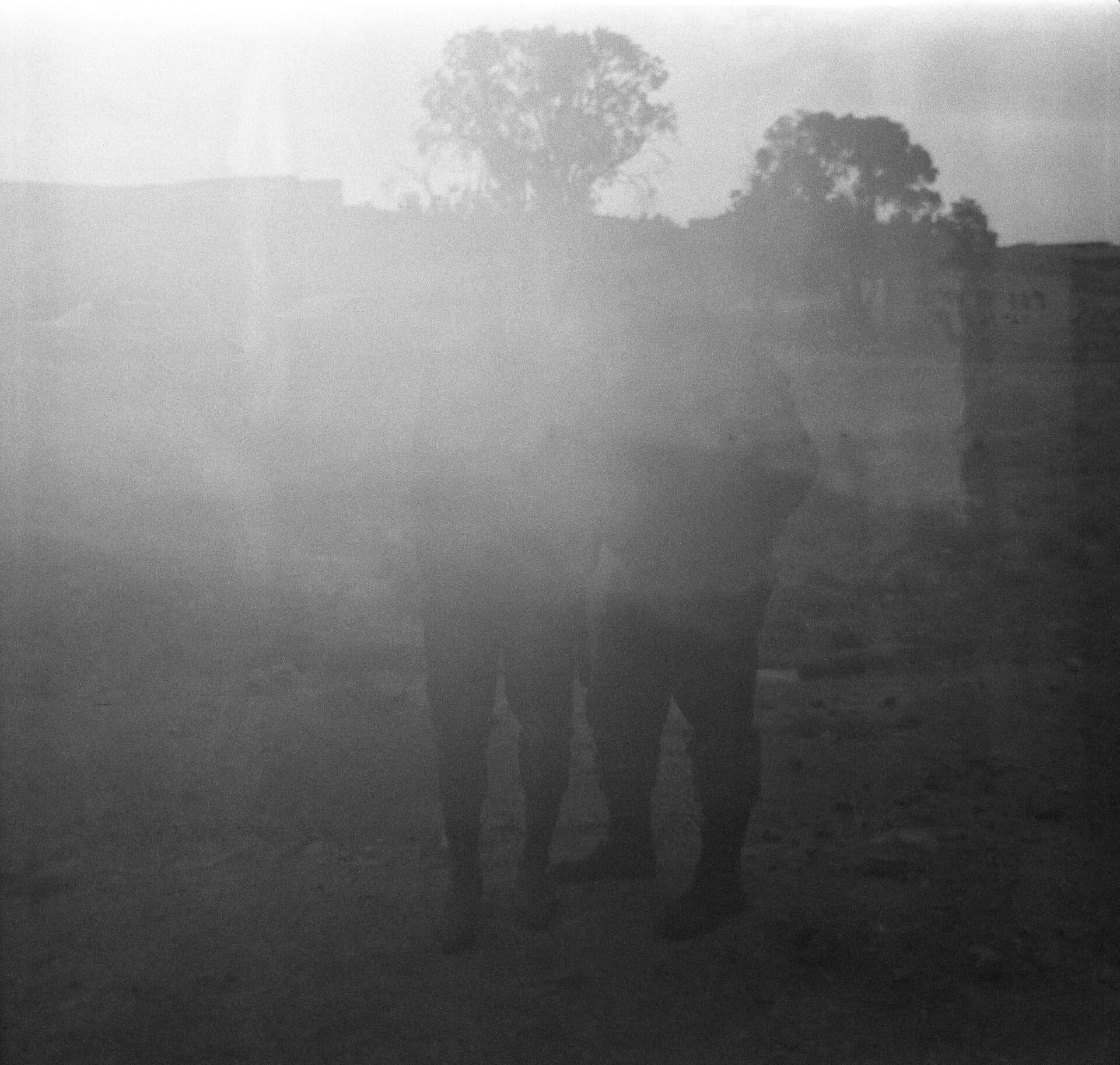 Untitled, MARYAM TAKHTKESHIAN