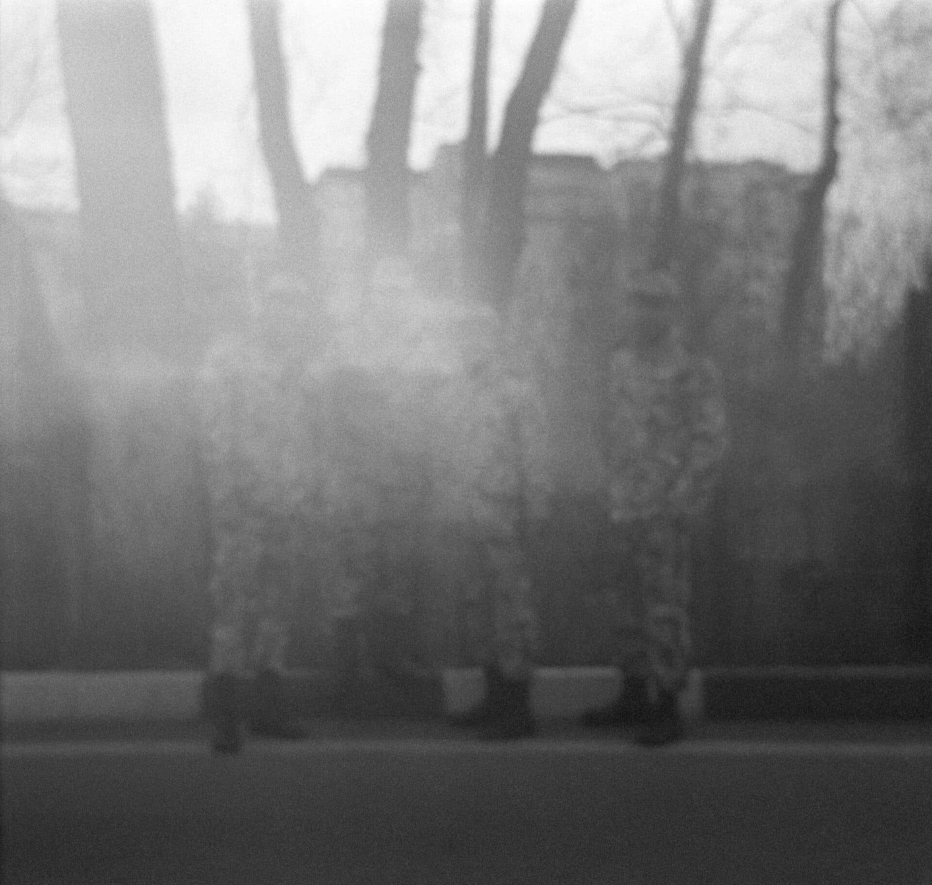 Untitled, MARYAM TAKHTKESHIAN