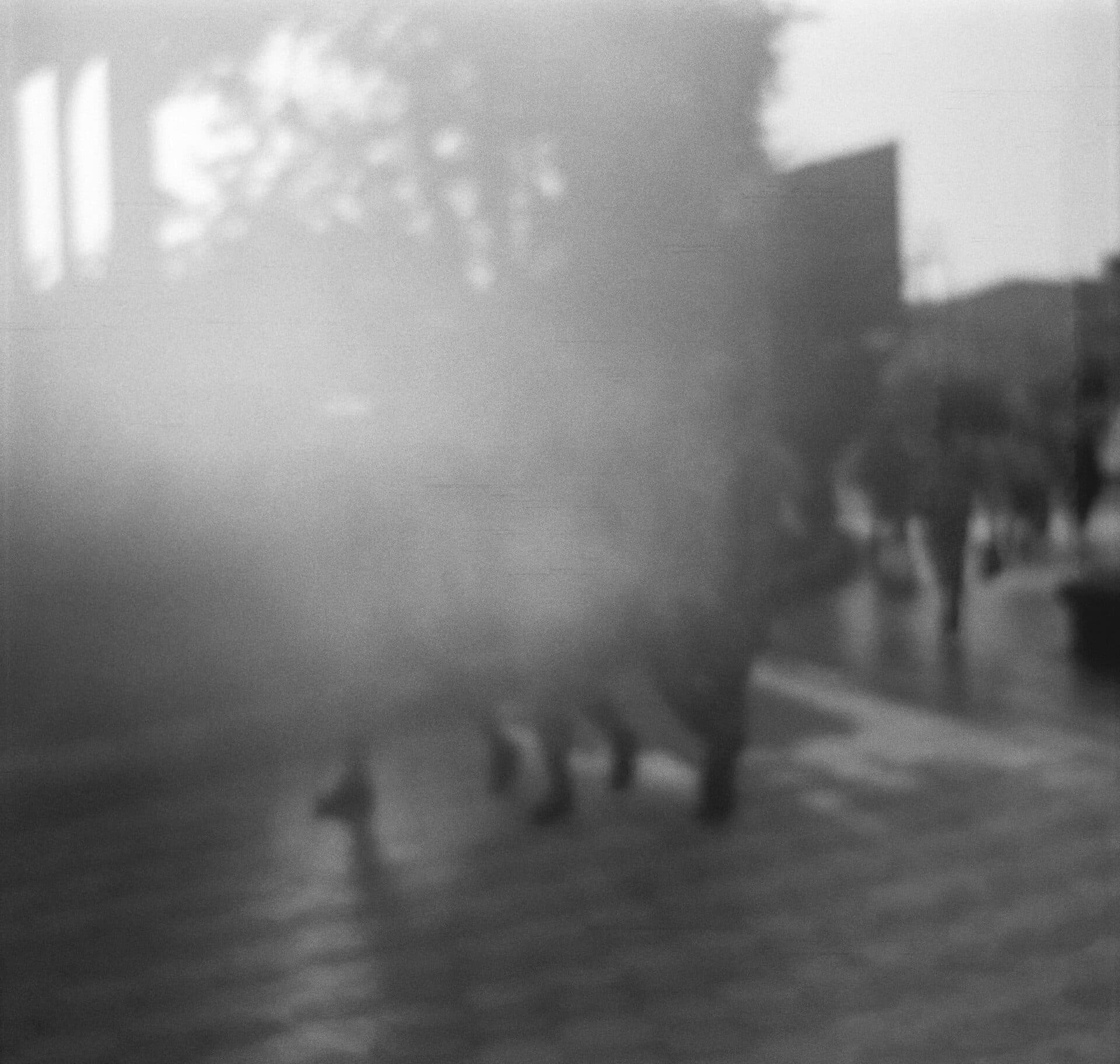 Untitled, MARYAM TAKHTKESHIAN