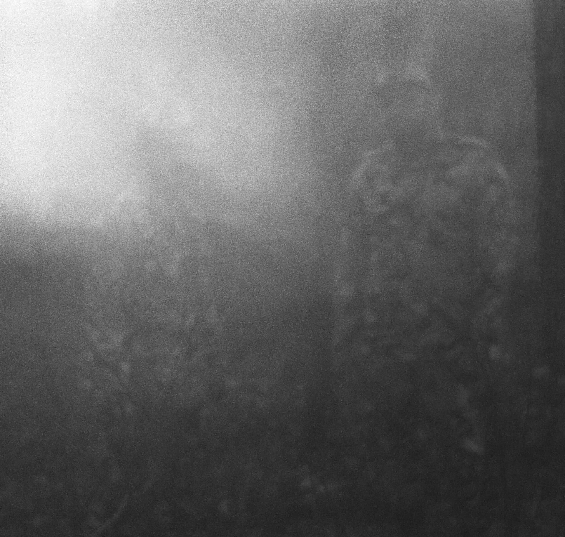 Untitled, MARYAM TAKHTKESHIAN