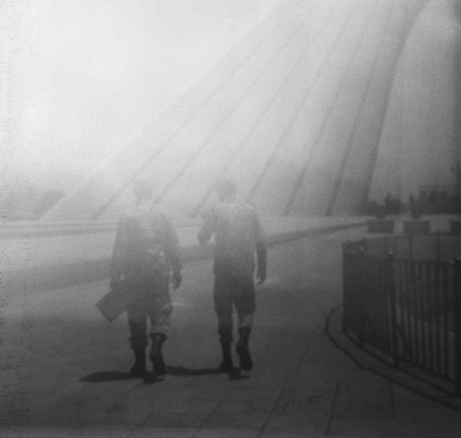 Untitled, MARYAM TAKHTKESHIAN