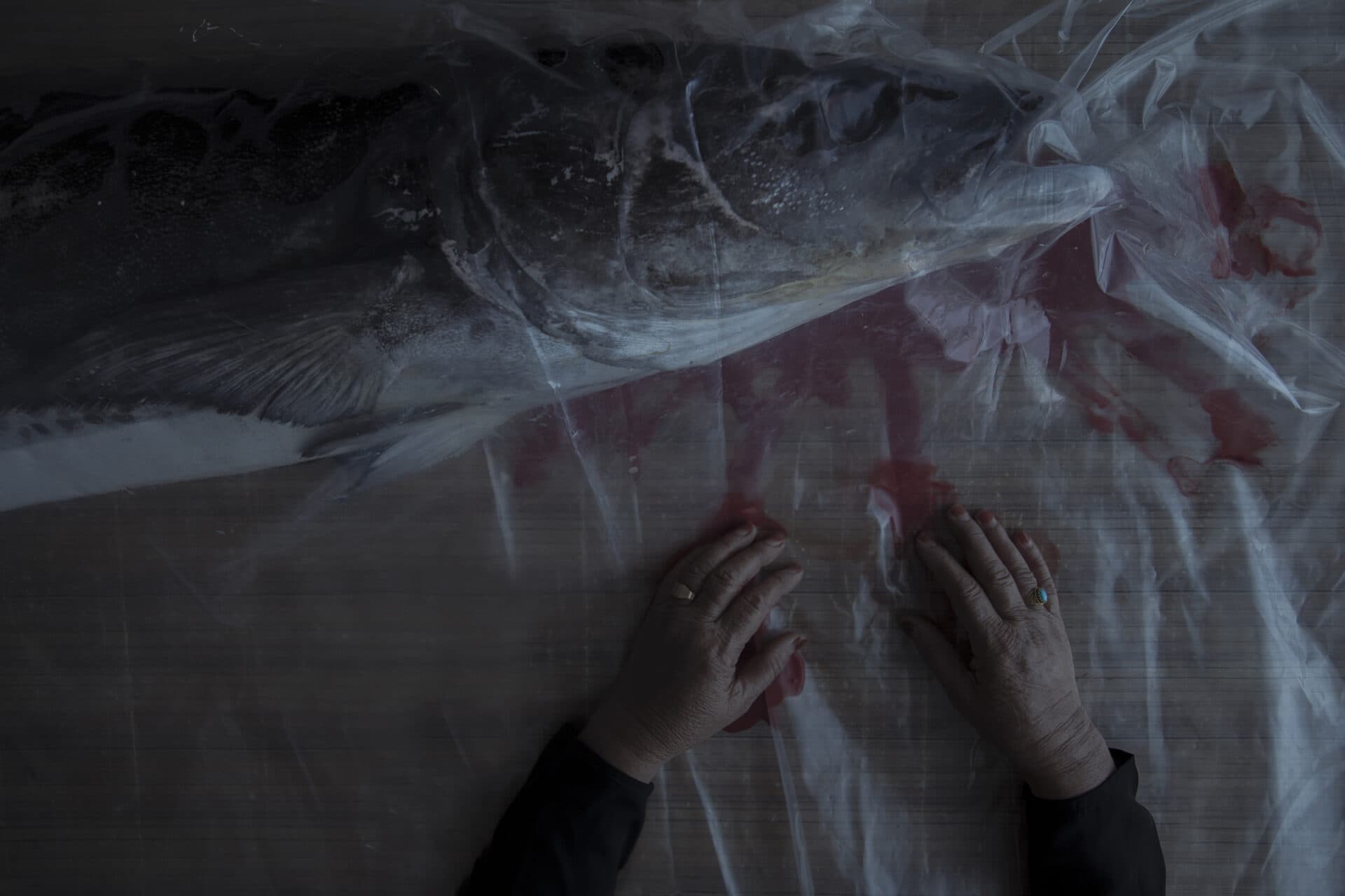 Untitled, Morteza Niknahad