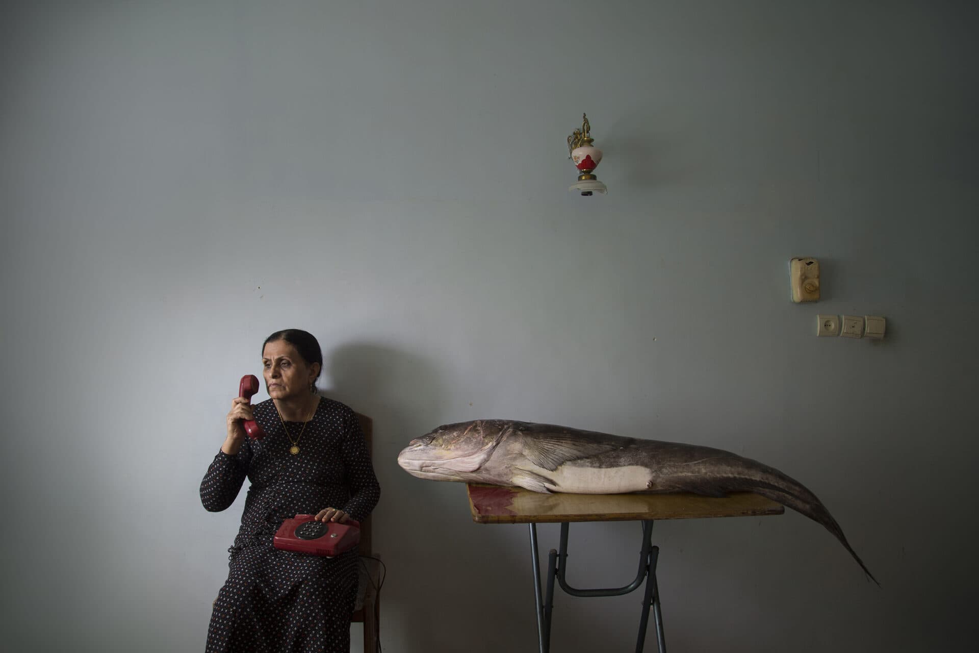 Untitled, Morteza Niknahad