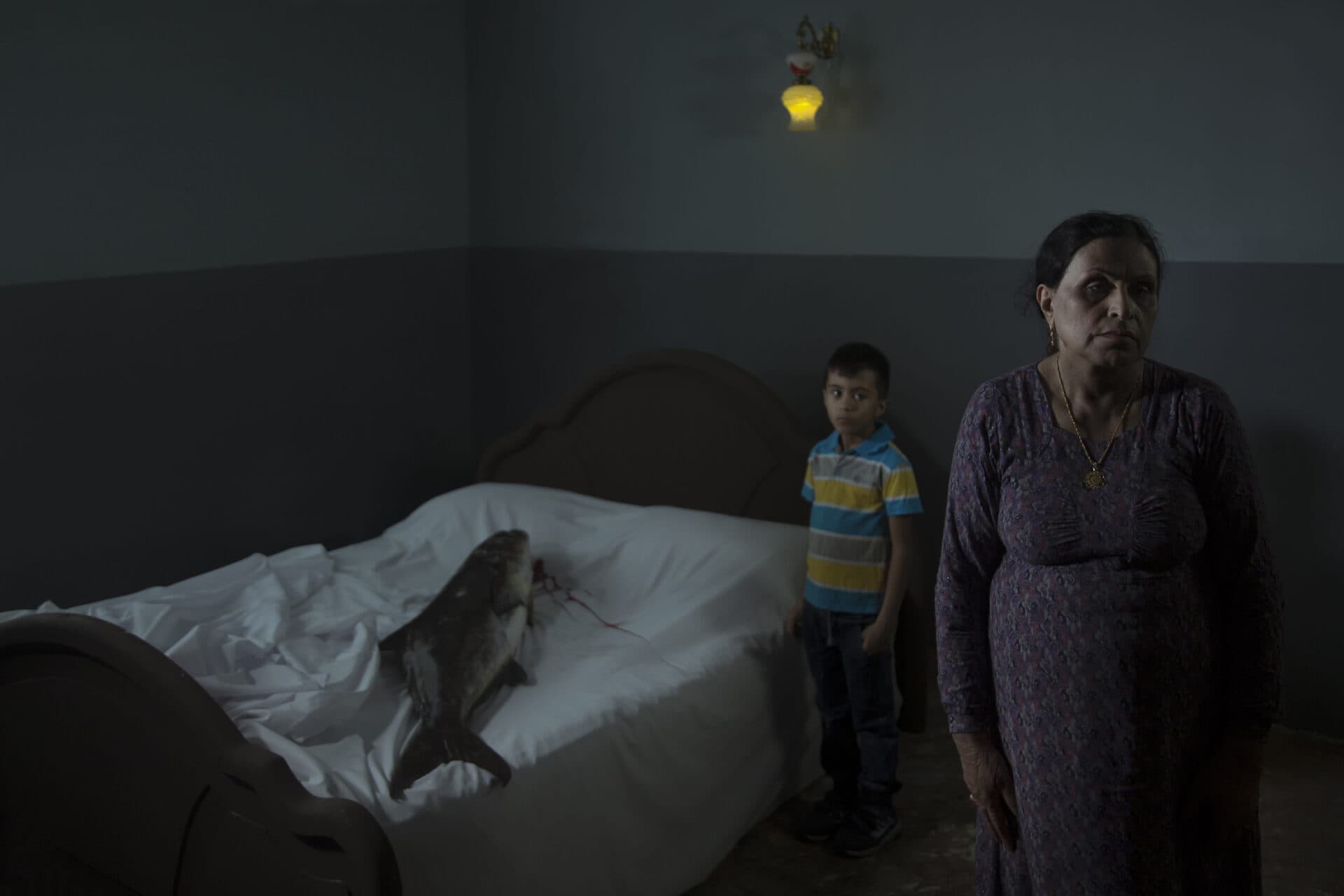 Untitled, Morteza Niknahad