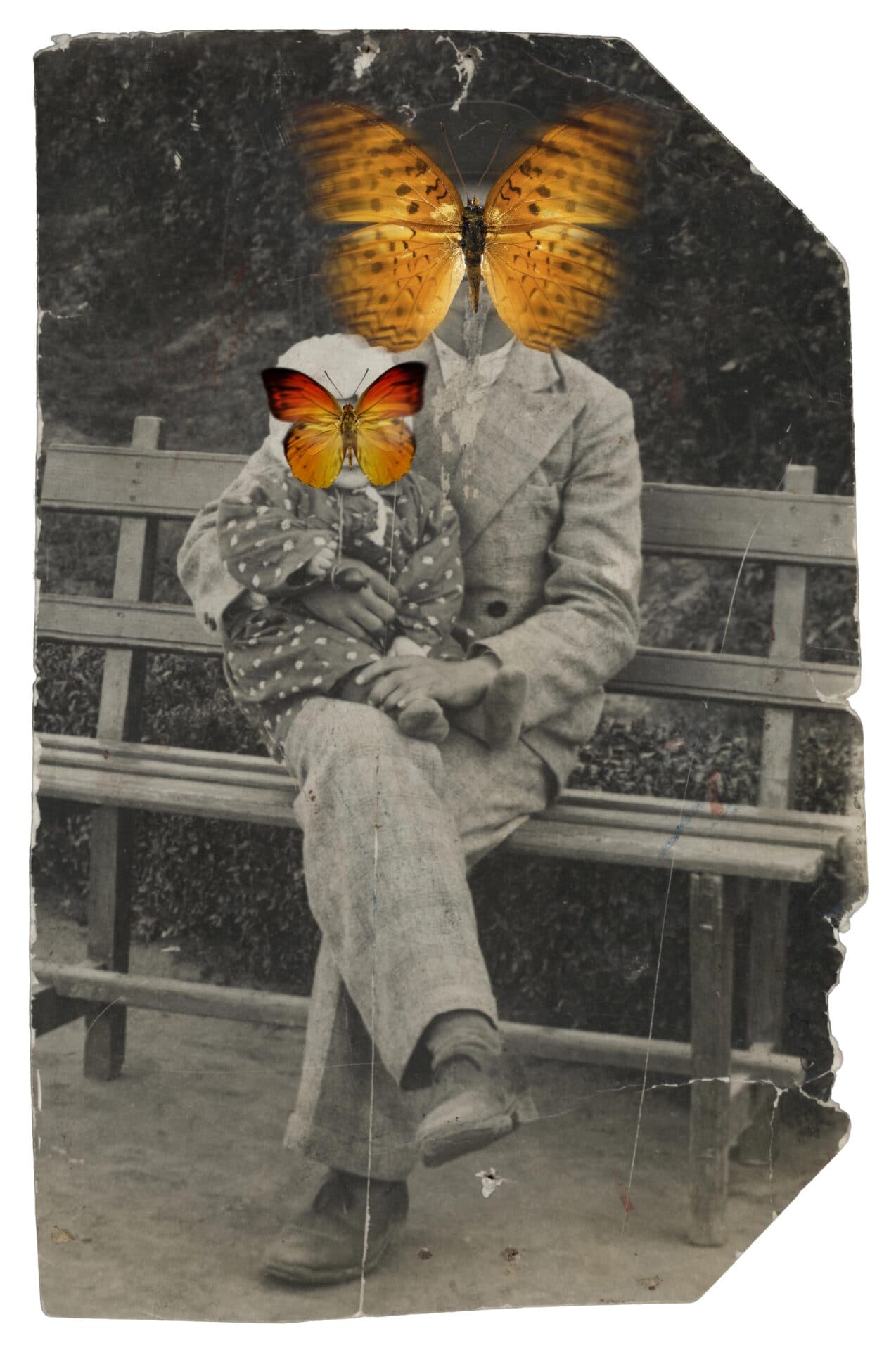 Untitled, Nazli Abbaspour