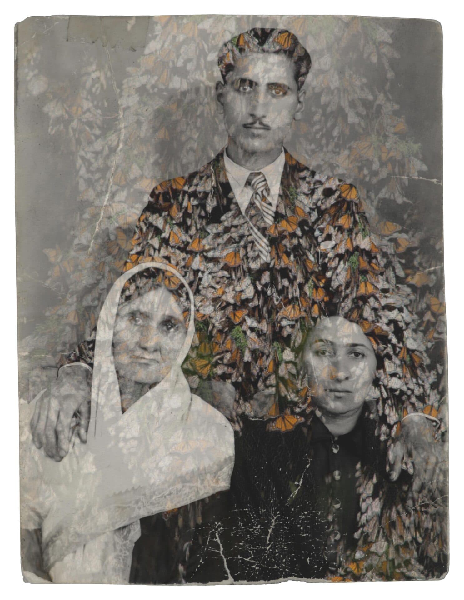 Untitled, Nazli Abbaspour