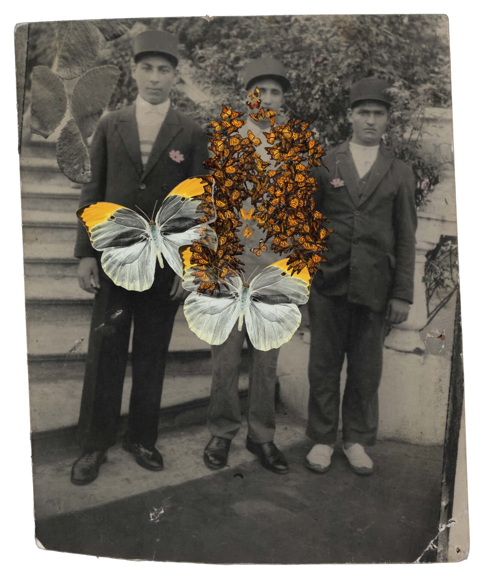 Untitled, Nazli Abbaspour