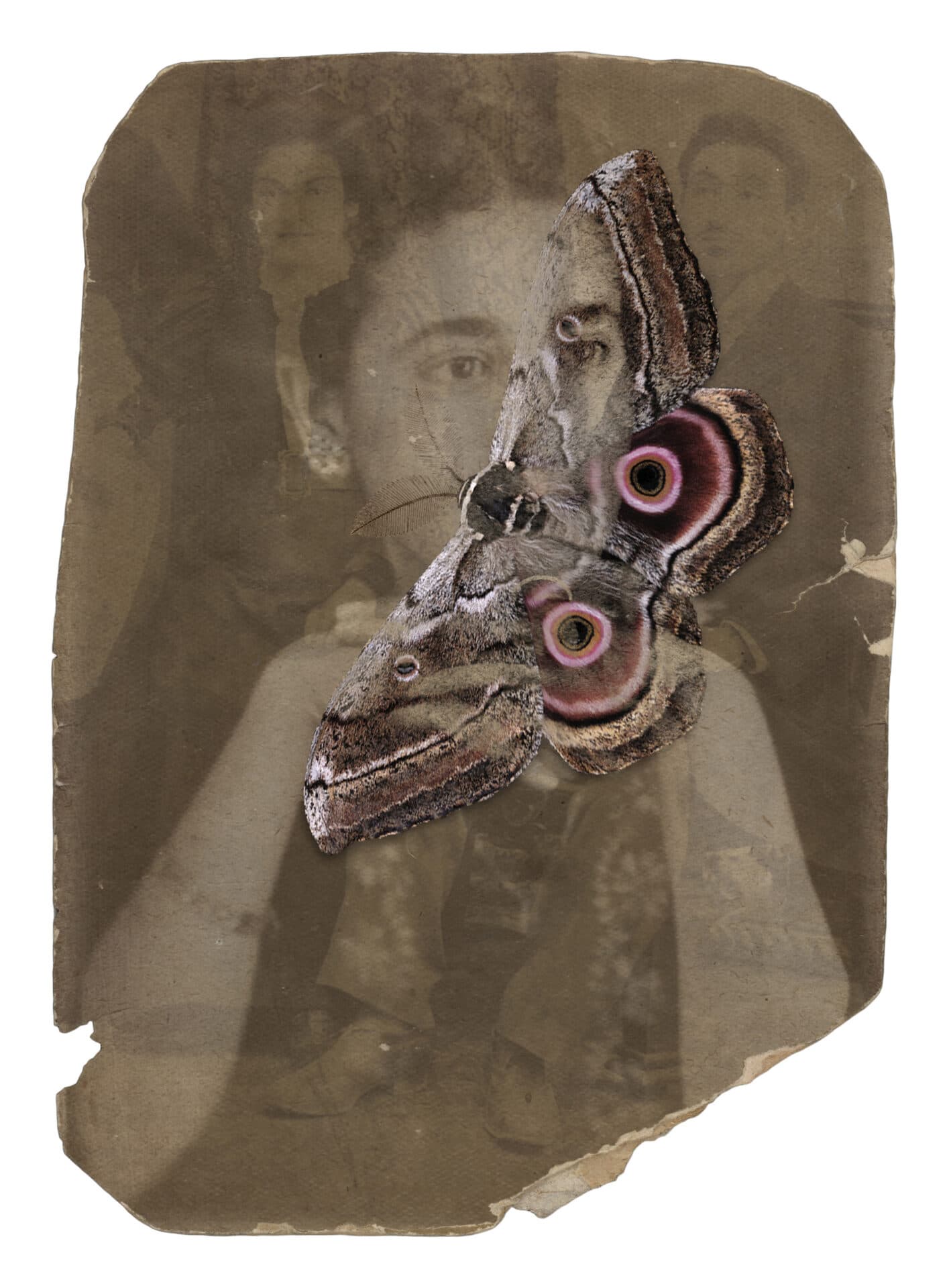 Untitled, Nazli Abbaspour