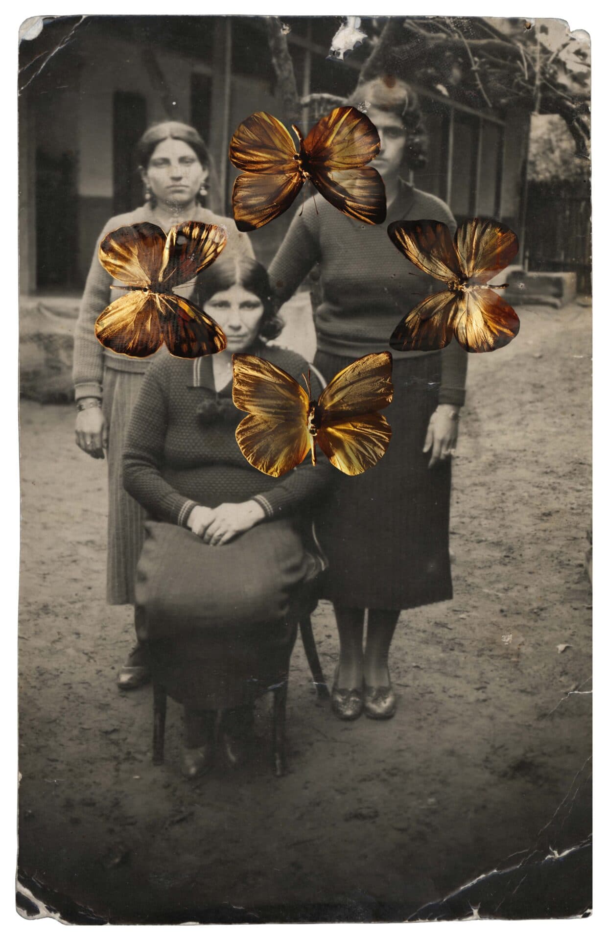 Untitled, Nazli Abbaspour
