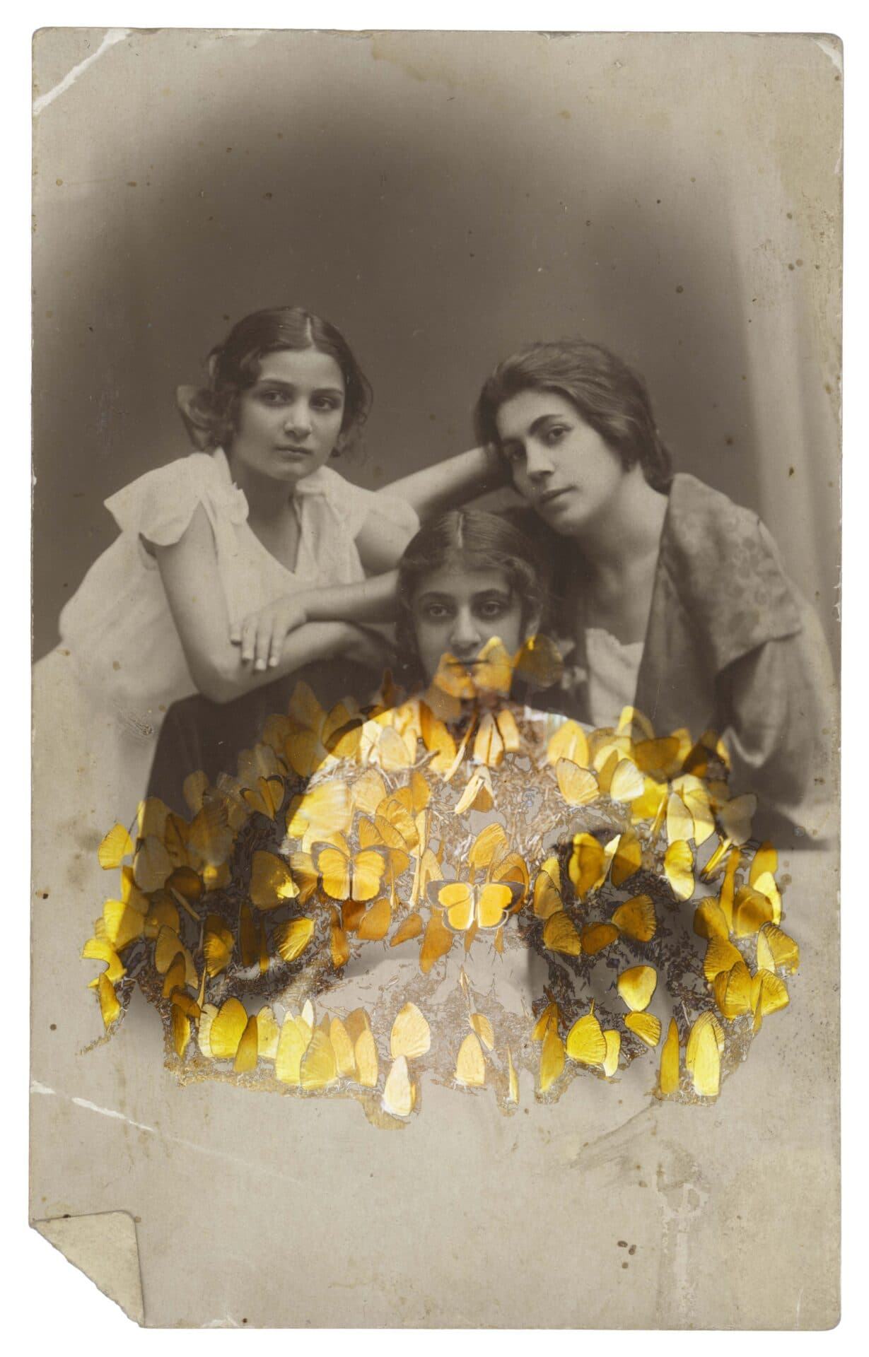 Untitled, Nazli Abbaspour