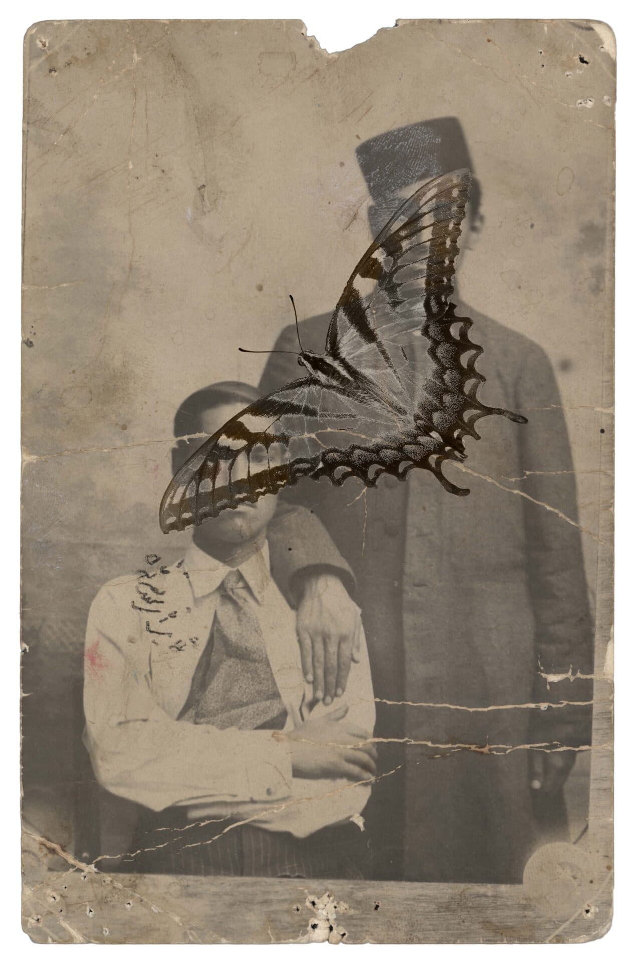 Untitled, Nazli Abbaspour