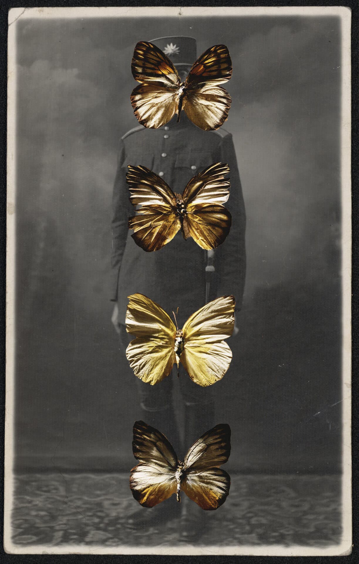Untitled, Nazli Abbaspour