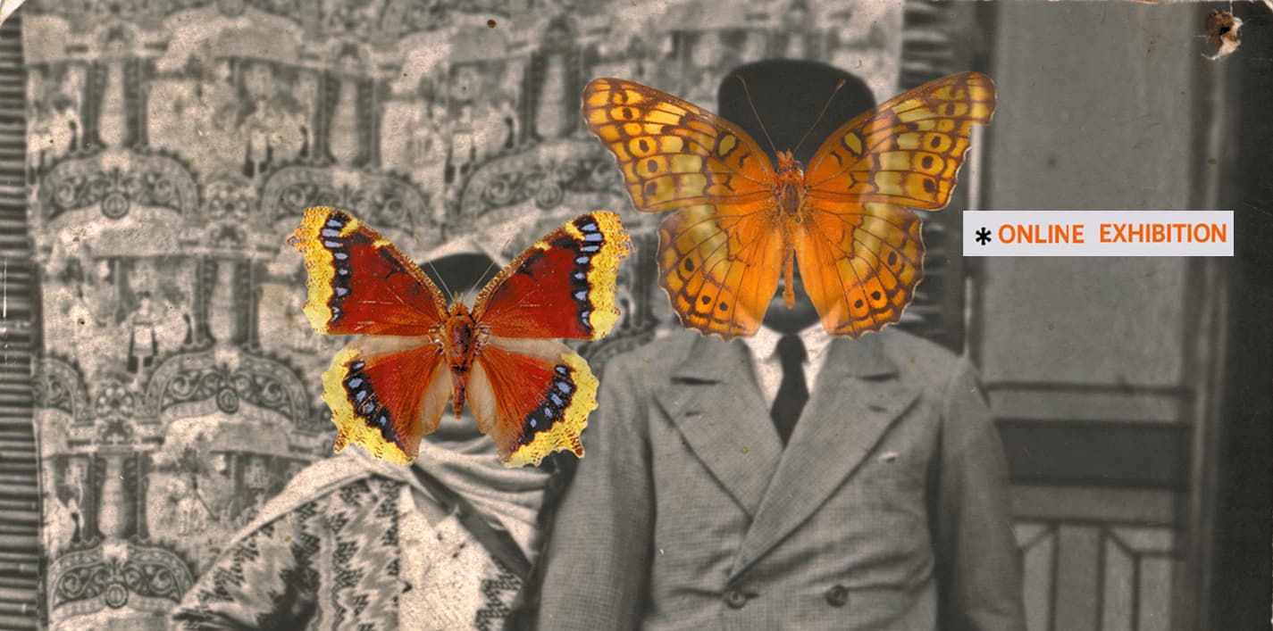 Reincarnation, Nazli Abbaspour