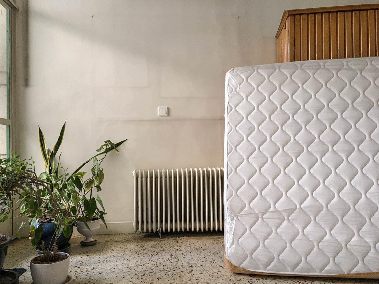 Untitled, Golnaz Taheri