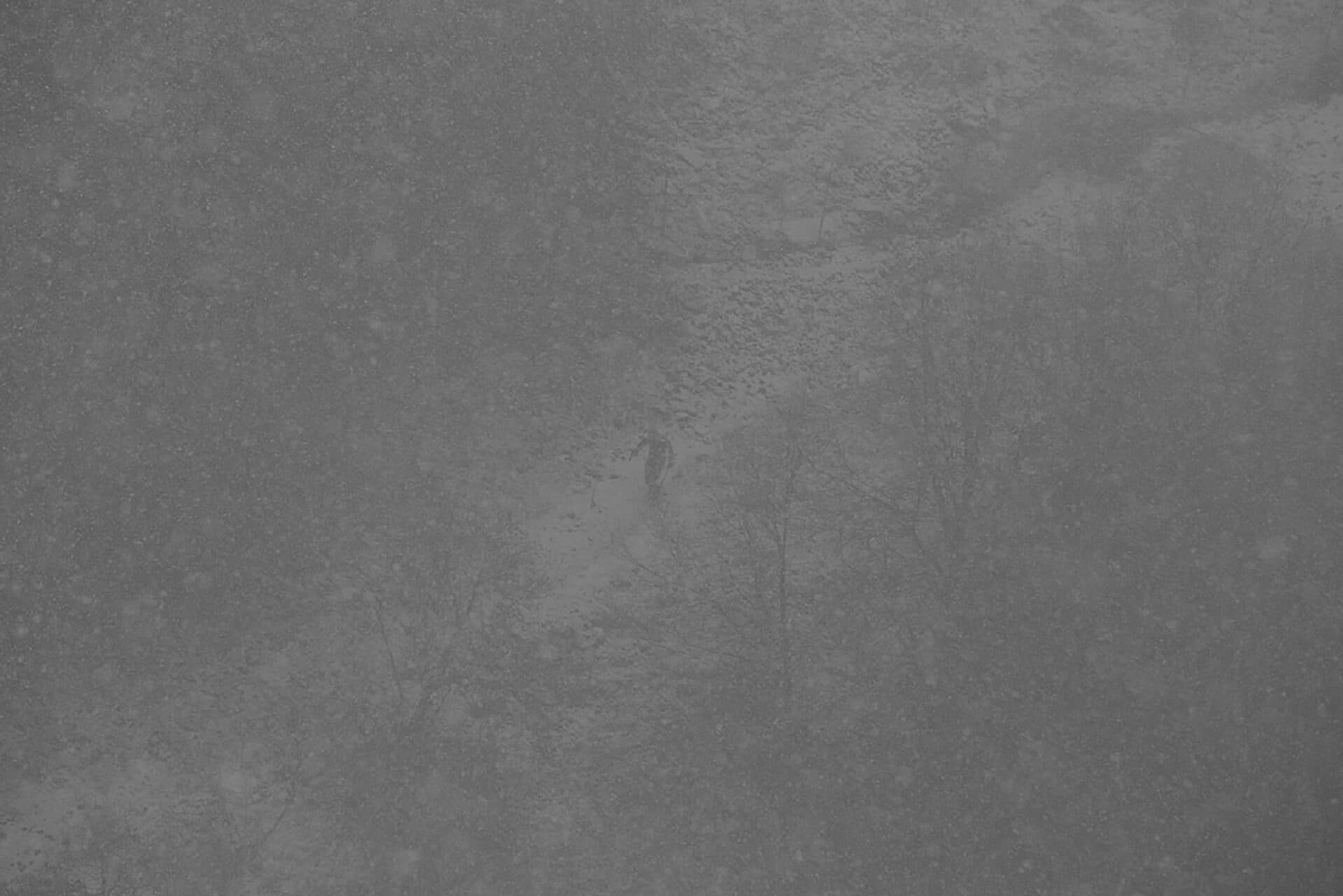 Untitled, Joubeen Mireskandari