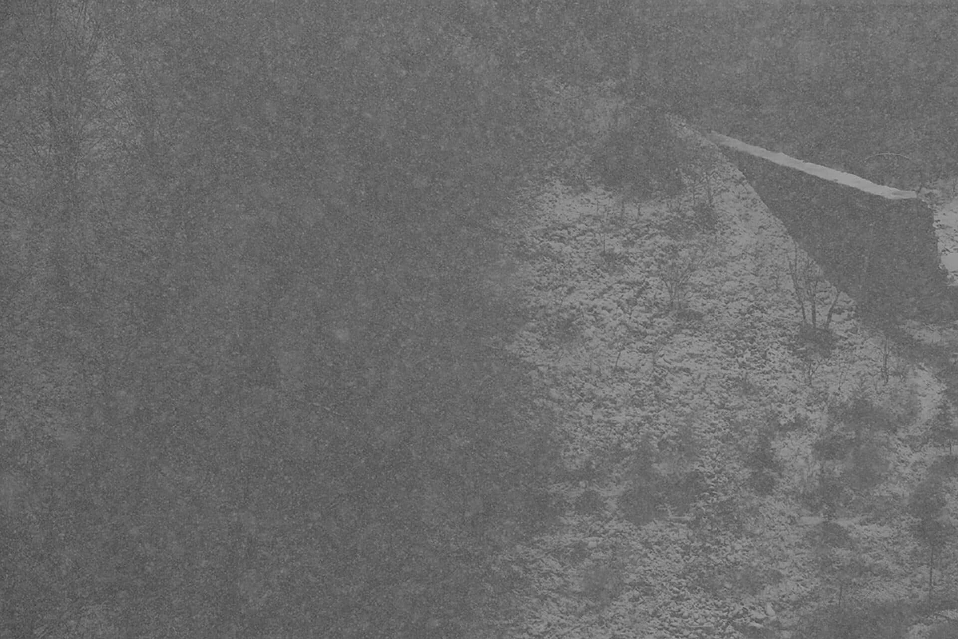 Untitled, Joubeen Mireskandari