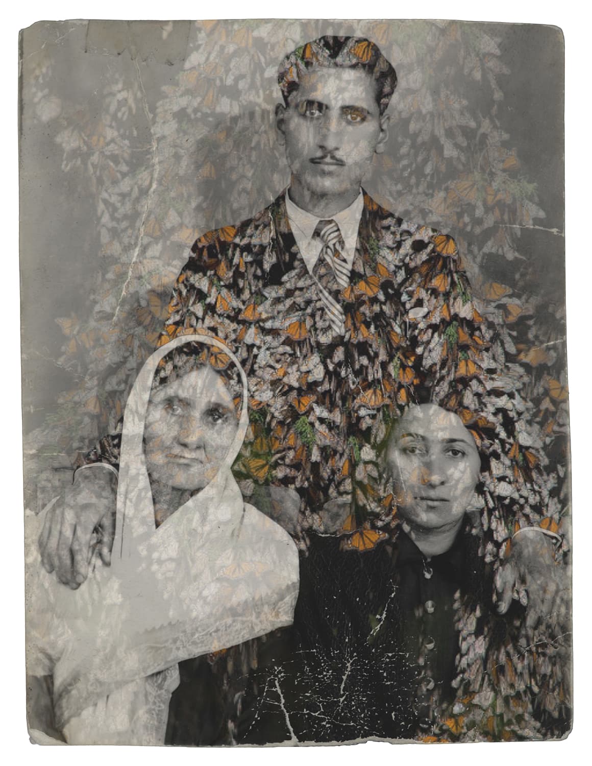 Untitled, Nazli Abbaspour