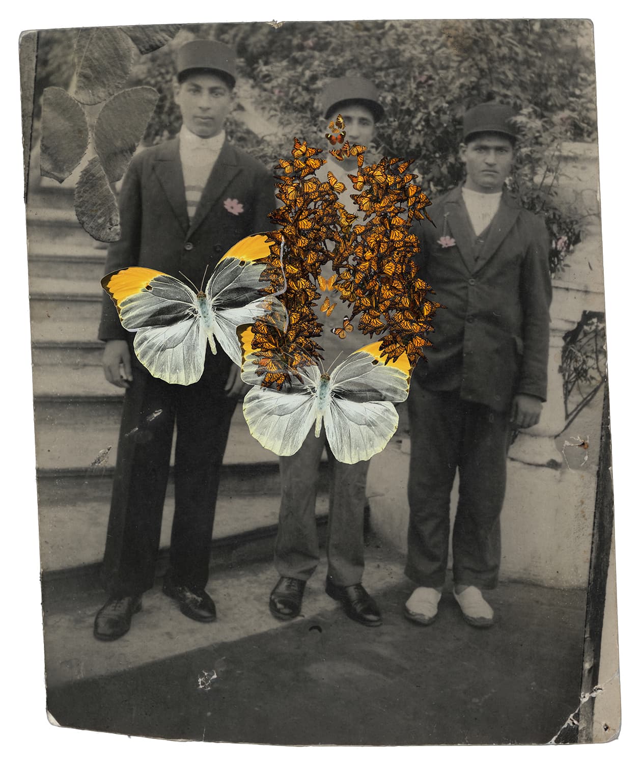 Untitled, Nazli Abbaspour