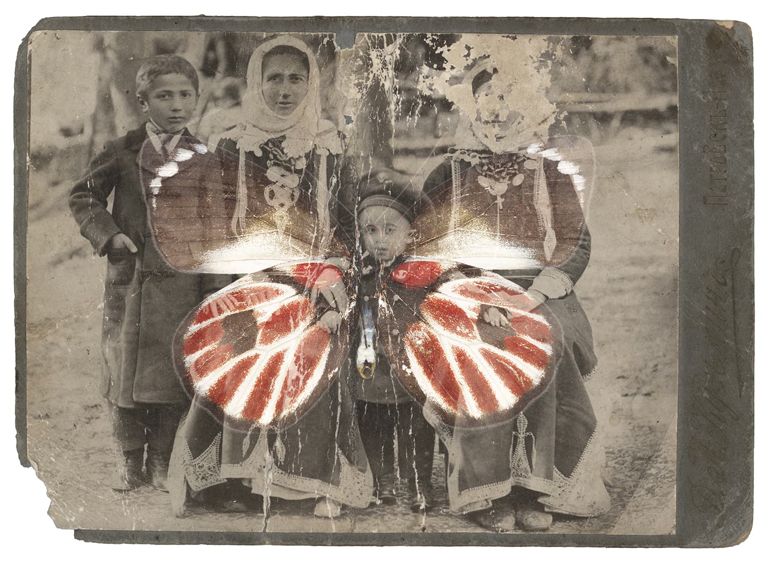Untitled, Nazli Abbaspour