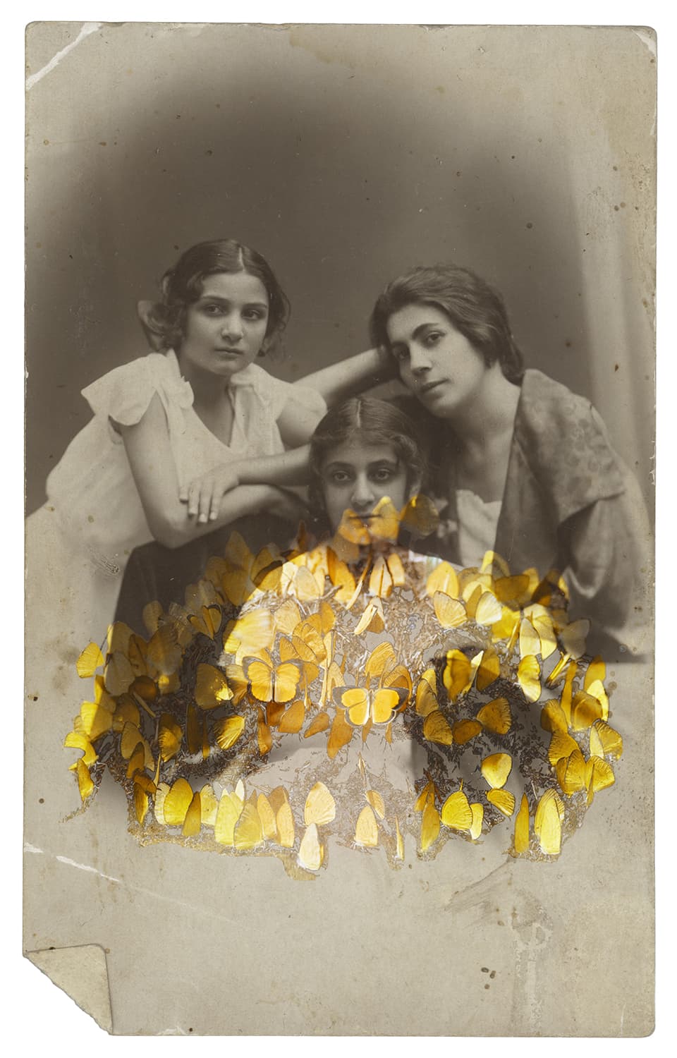 Untitled, Nazli Abbaspour