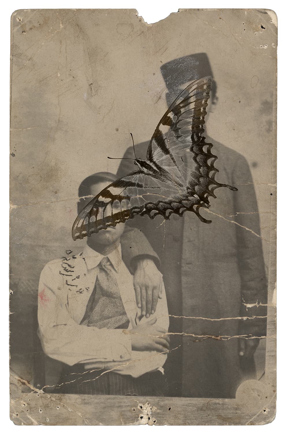 Untitled, Nazli Abbaspour