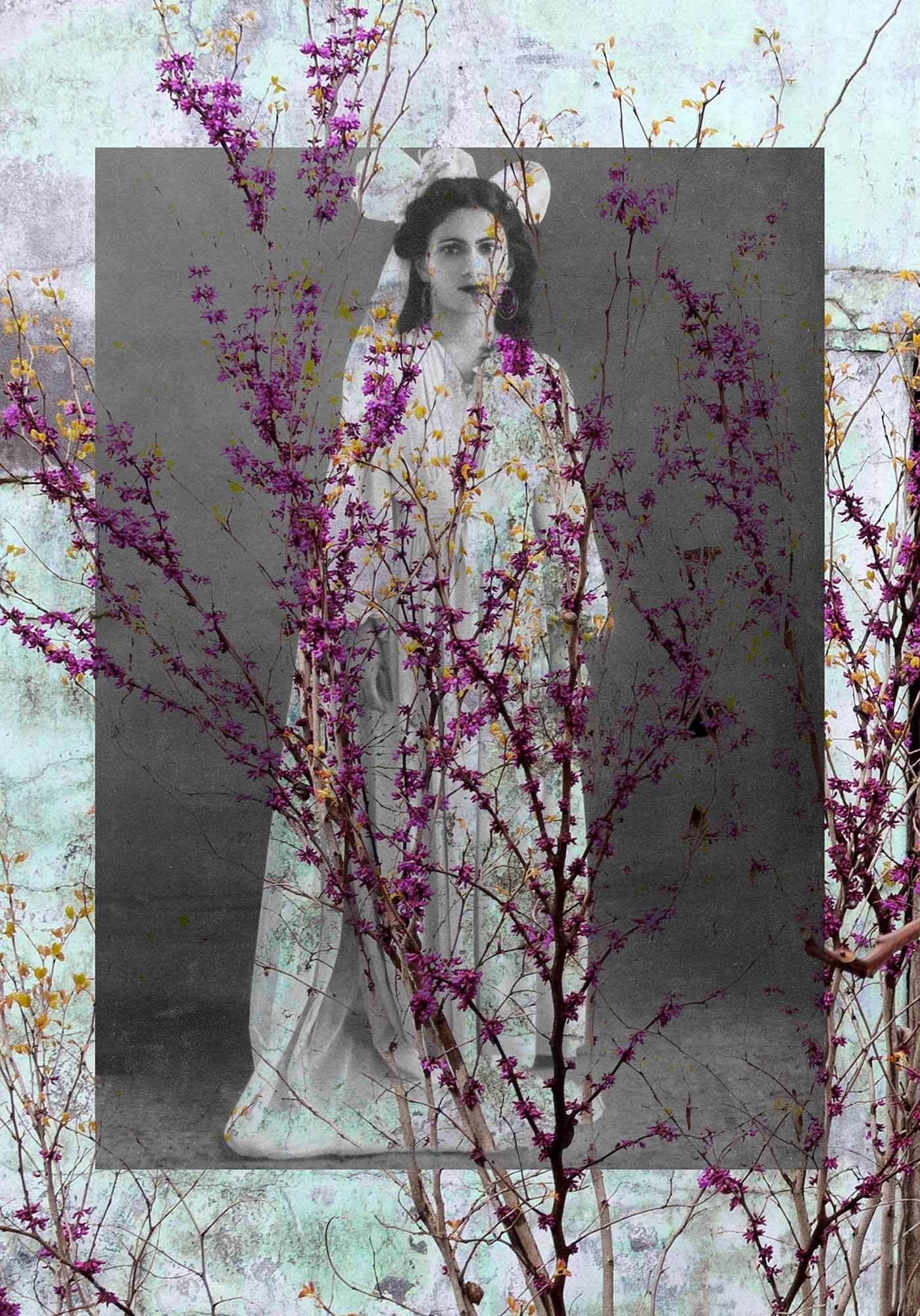 Untitled, Nazli Abbaspour