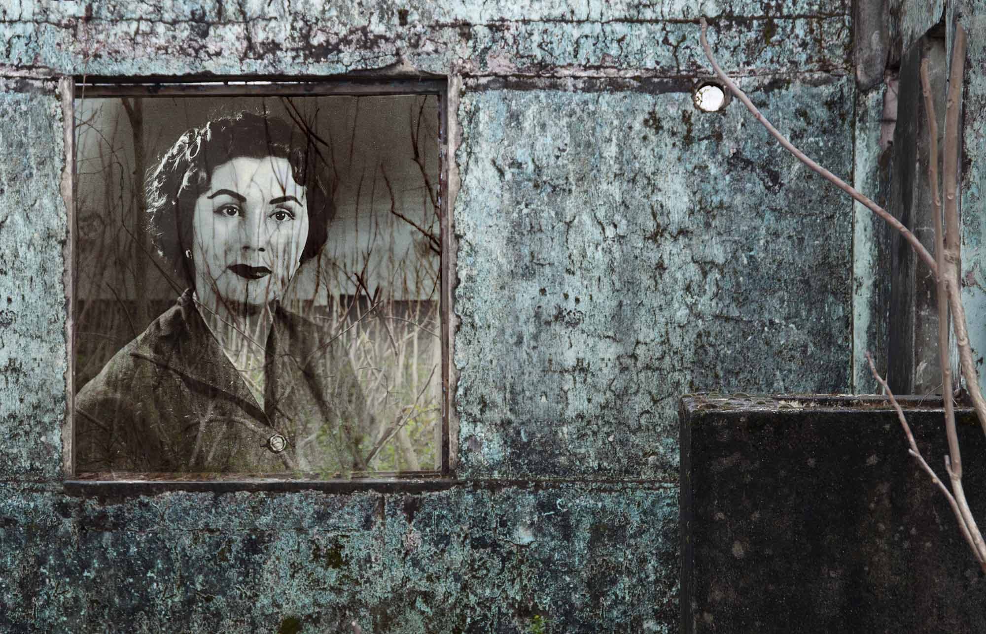 Untitled, Nazli Abbaspour