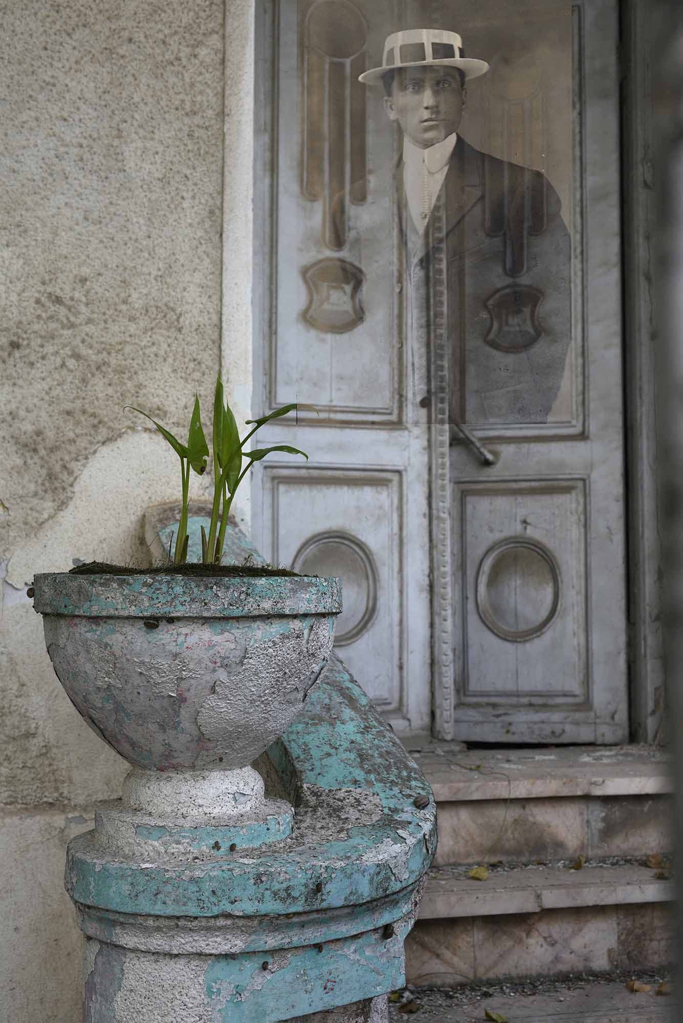 Untitled, Nazli Abbaspour