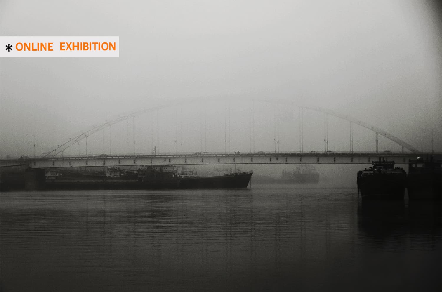 Views in the Fog