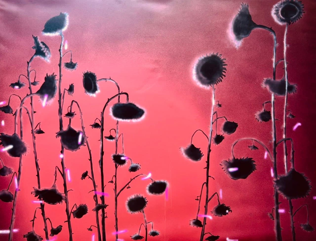 Embers