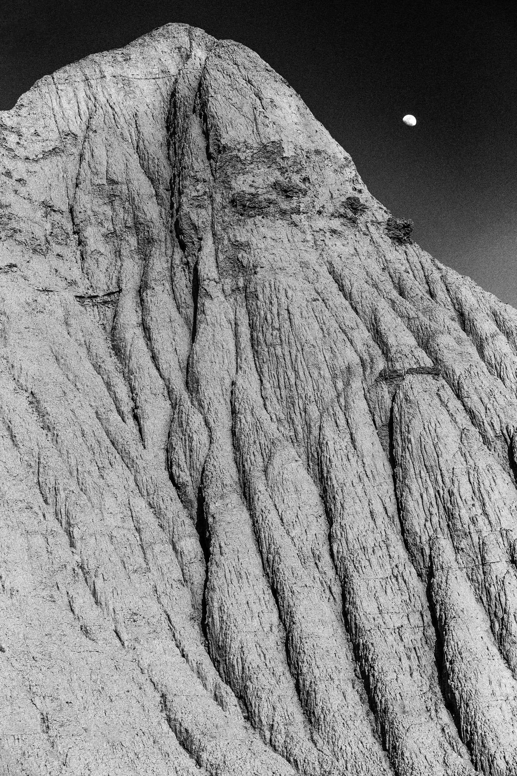 Bad Land – Balouchistan 5, Tahmineh Monzavi