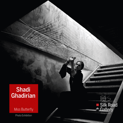 Miss Butterfly, Shadi Ghadirian