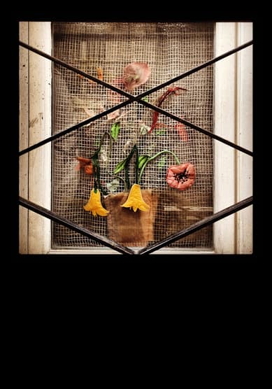 Anything they like, Golnaz Taheri