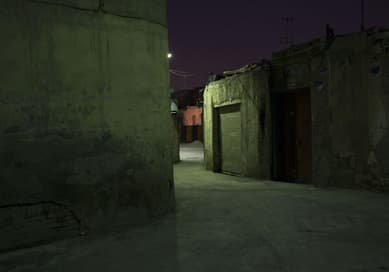 Onearthed, Hamid Shams