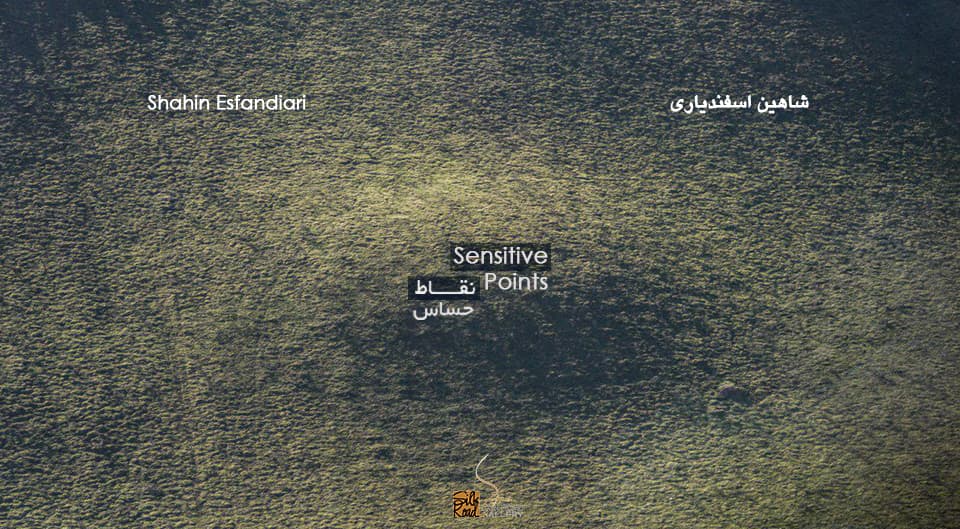 Sensitive Points, Shahin Esfandiari